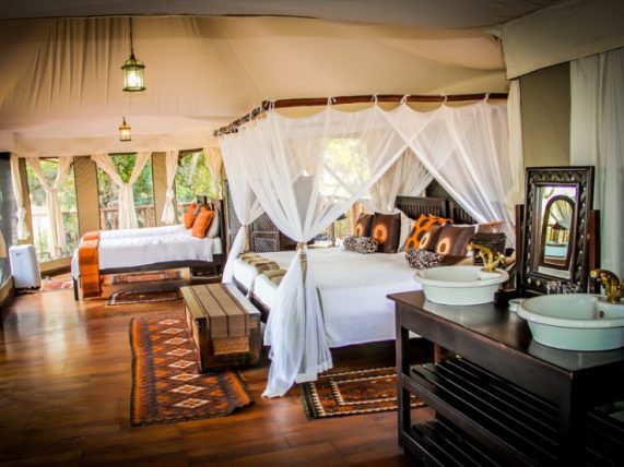 8 Day Northern Circuit Safari in Tanzania