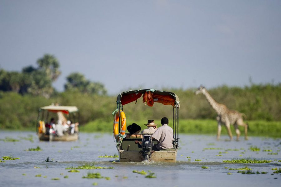 Enhance your experience with luxury tented camps, safari lodges, and walking safaris that bring you closer to the wildlife. Don't miss the chance to capture stunning wildlife photography, including scenes of elephant herds and wildebeest migration