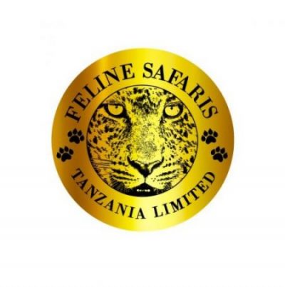 Feline logo