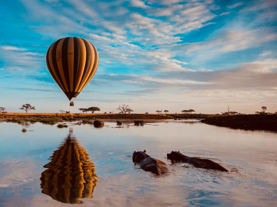 Enhance your experience with luxury tented camps, safari lodges, and walking safaris that bring you closer to the wildlife. Don't miss the chance to capture stunning wildlife photography, including scenes of elephant herds and wildebeest migration