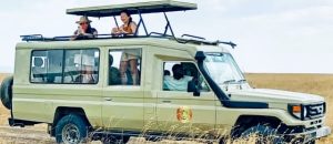 Private safari Tanzania 4 x 4 Land Cruiser Serengeti