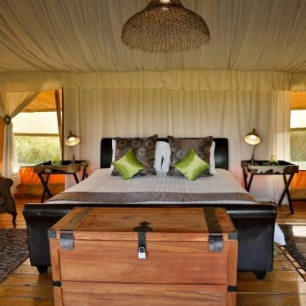 Serengeti Plains Signature Journey 5 Days - Luxury accommodation from Tarangire Baobabs to Ngorongoro Crater