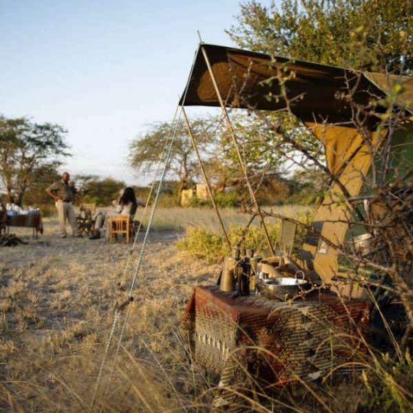 african-bush-camping-safari